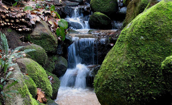 Notícias da Terra - Sistema Anura