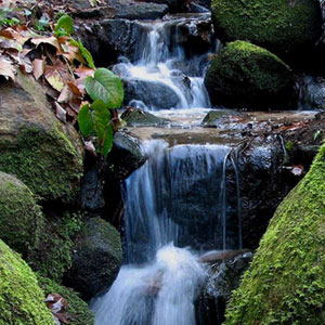 Notícias da Terra - Sistema Anura