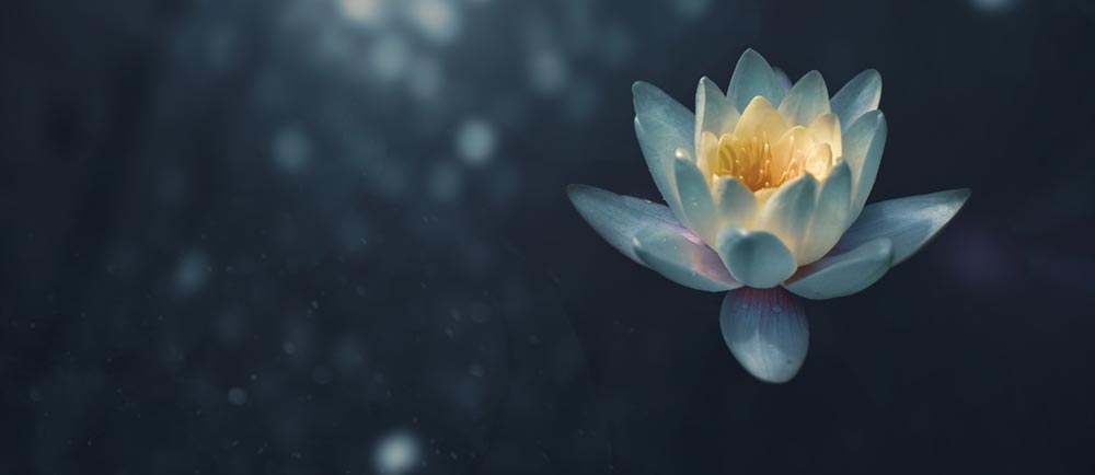 Retiro - Caminhos de Anura